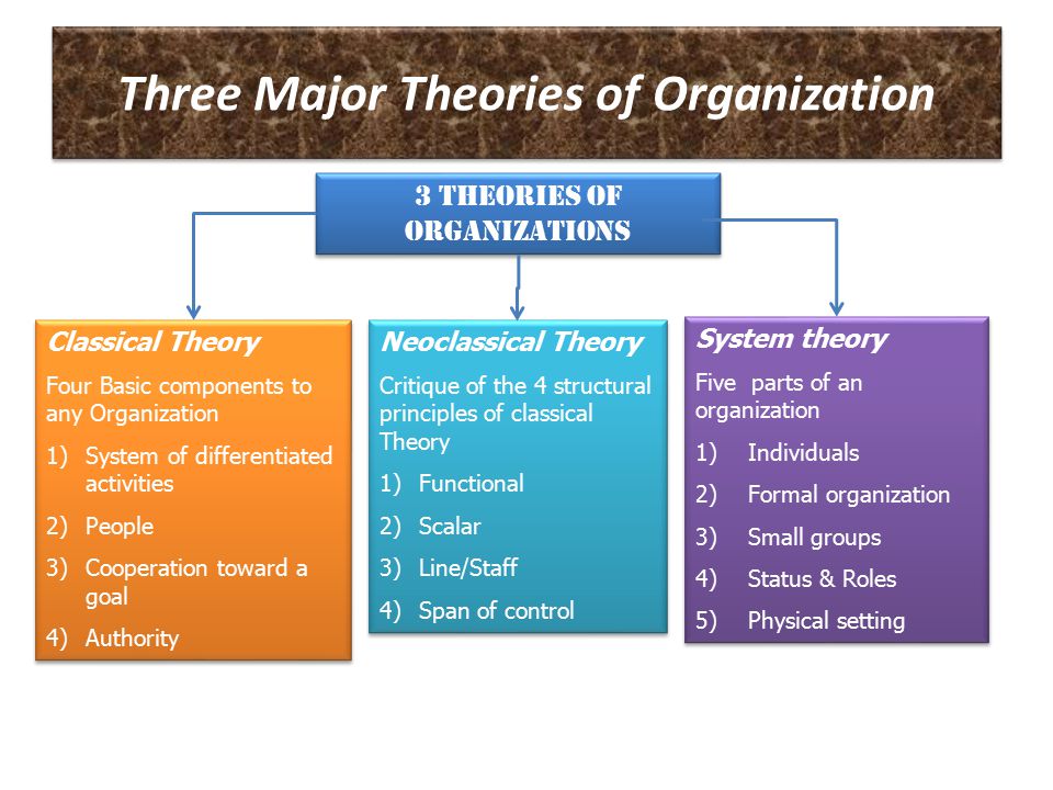 Organizational theory